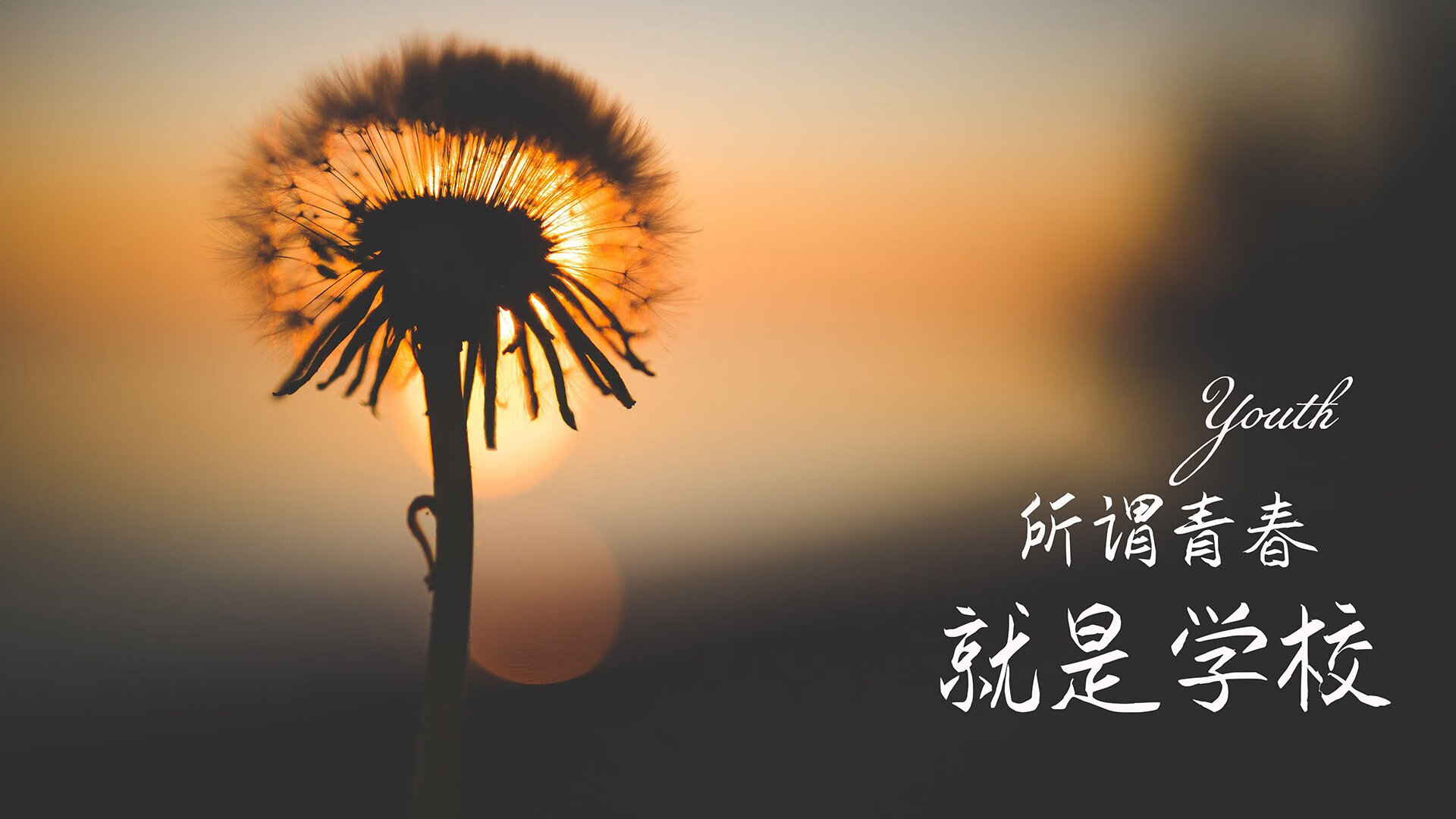 爱游戏官网-_湖人队快节奏攻防，展现团队实力_，湖人组队