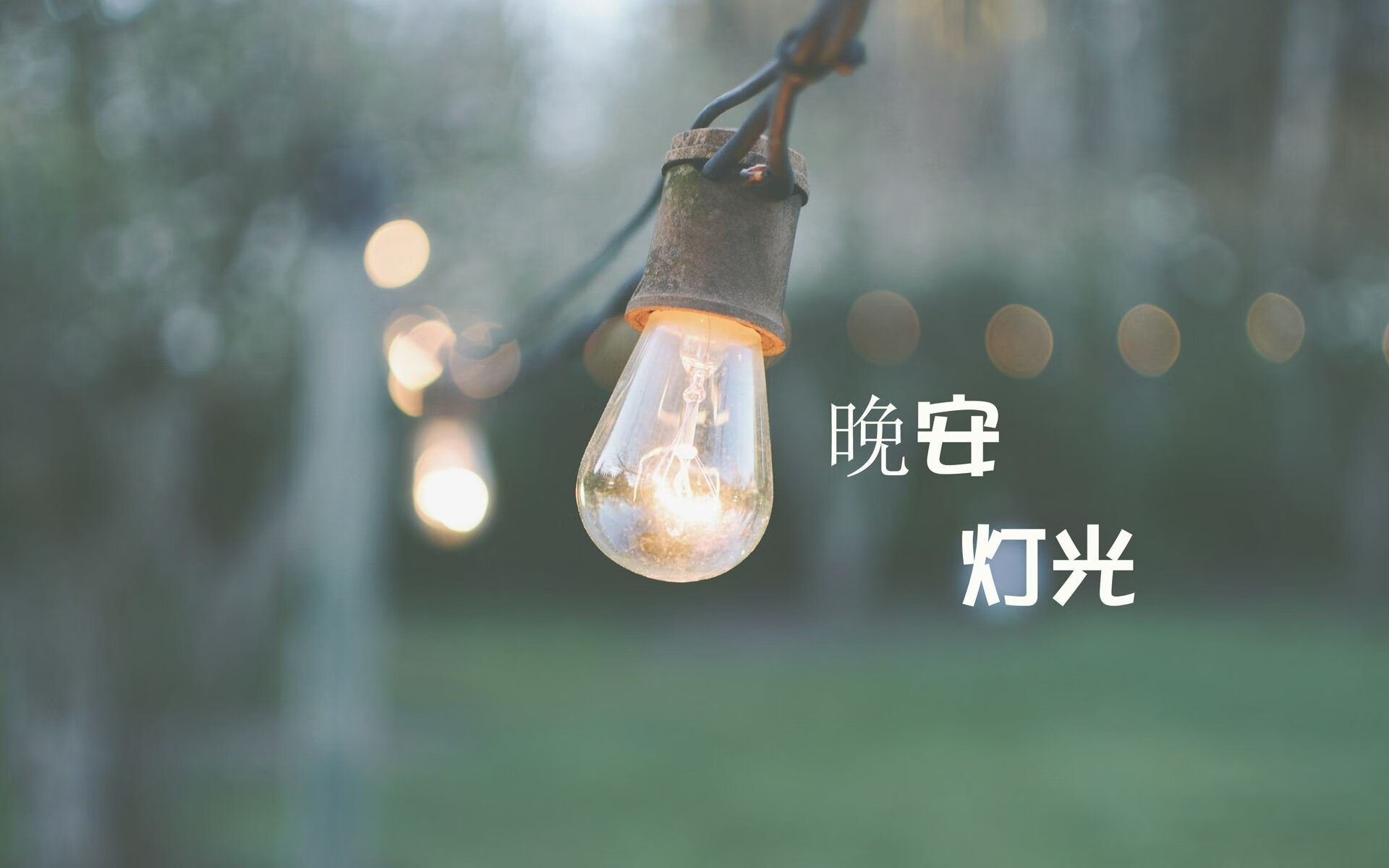 爱游戏电竞官网-获胜的秘密：WRC冠军车手的训练秘籍，wrc获得冠军最多的